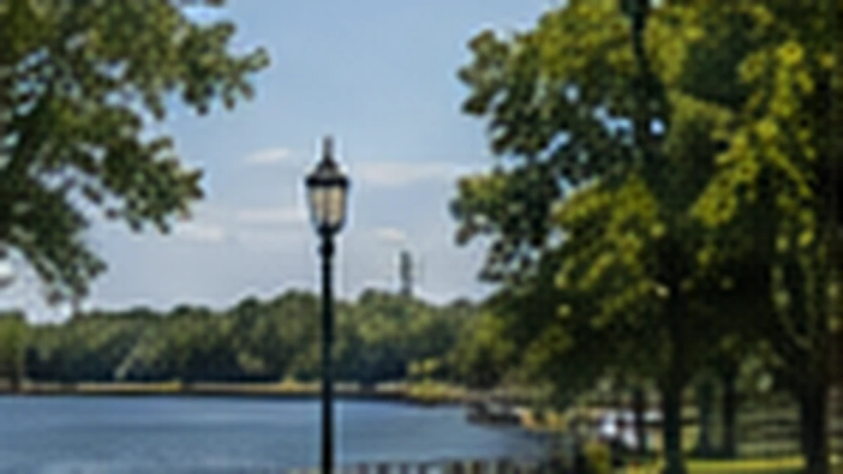 Treed shoreline with a lamppost beside calm water
